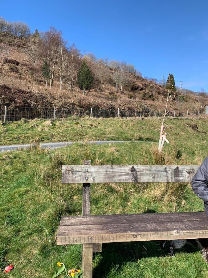 Snowdonia Rock Cottage - Cosy And Pet Friendly Penrhyndeudreath Bagian luar foto