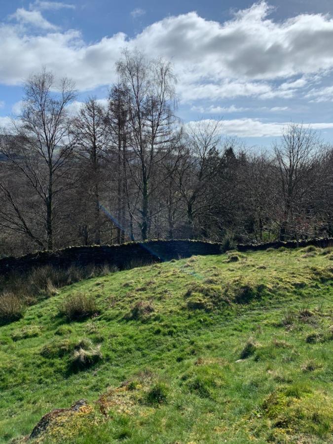 Snowdonia Rock Cottage - Cosy And Pet Friendly Penrhyndeudreath Bagian luar foto